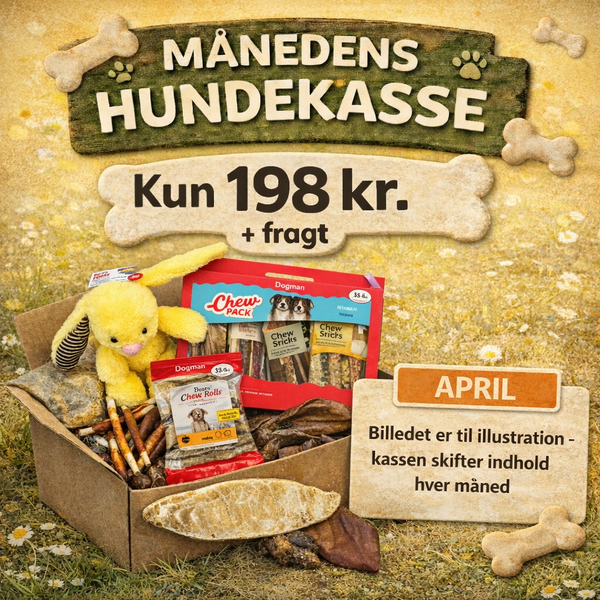 Månedens hundekasse