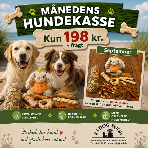 Månedens hundekasse