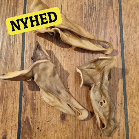 Kamelører - flere varianter