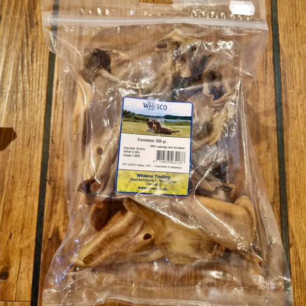 Kamelører - flere varianter