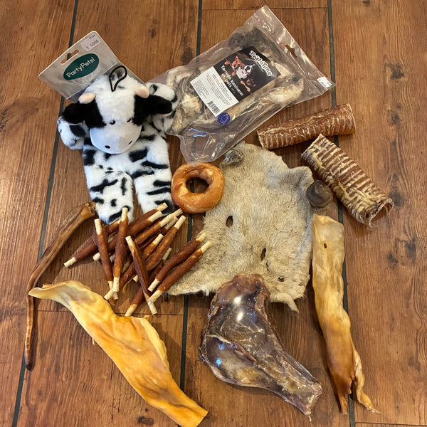 Månedens hundekasse