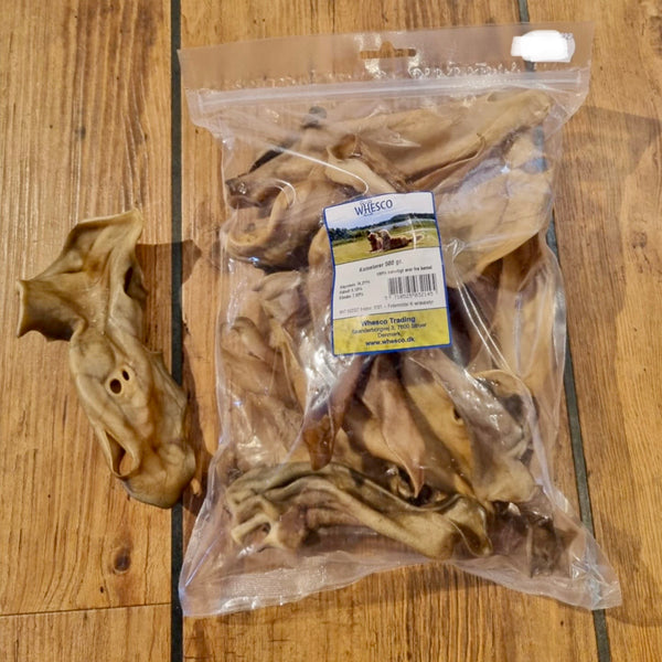 Kamelører - flere varianter