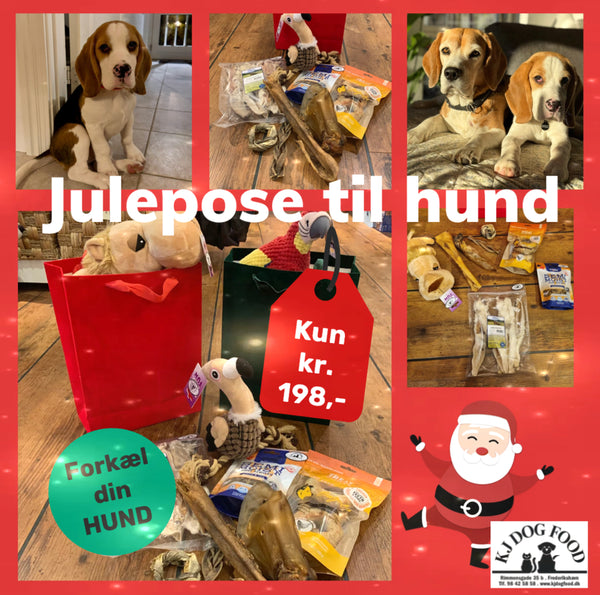 Julepose til hunden fyldt med lækkerier