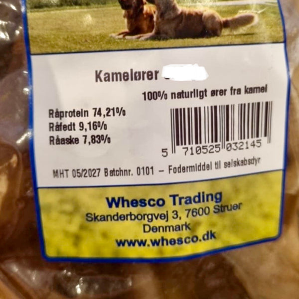 Kamelører - flere varianter