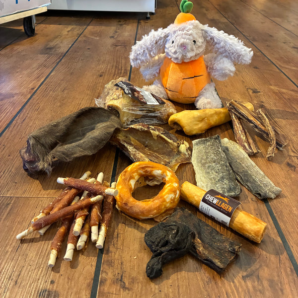 Månedens hundekasse - FRI FRAGT