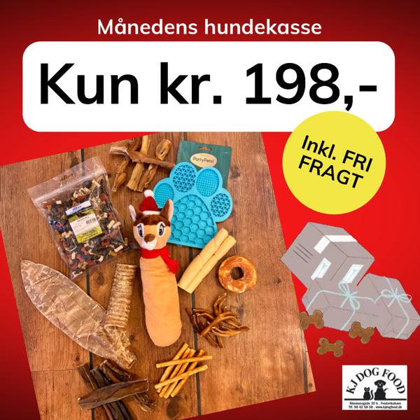 Månedens hundekasse - FRI FRAGT