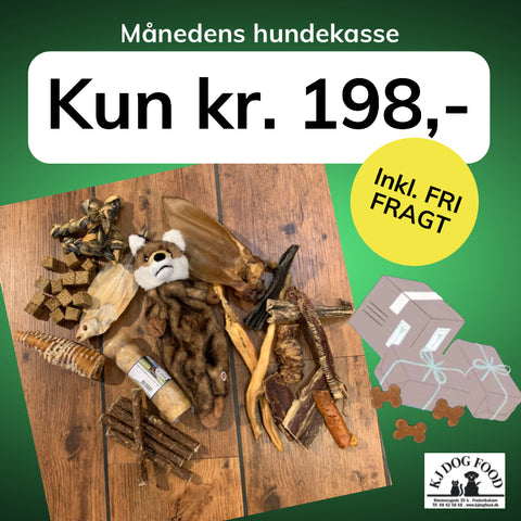 Månedens hundekasse - FRI FRAGT