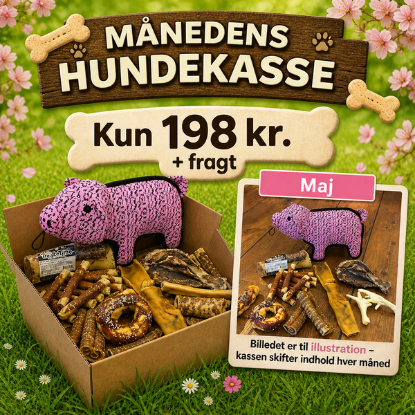 Månedens hundekasse