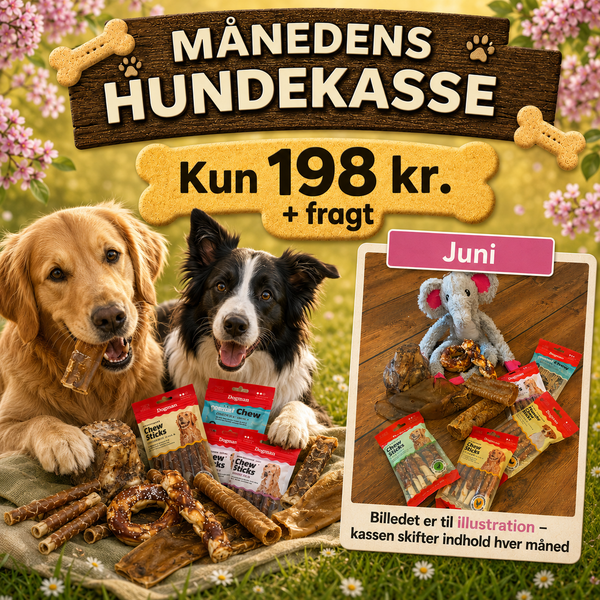 Månedens hundekasse