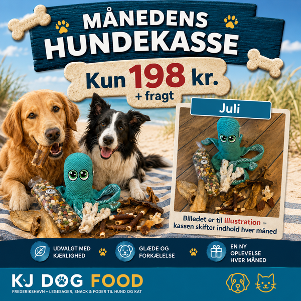 Månedens hundekasse