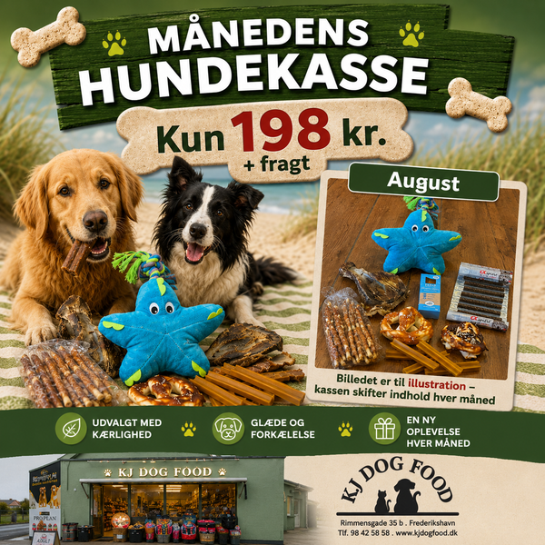 Månedens hundekasse